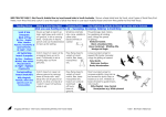 Birds you see Hunting in the Air – Swooping, Scooping, Sallying