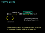 to linear sequence of 20 amino acids.