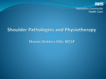 Shoulder pathologies and Physiotherapy