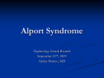 Alport Syndrome