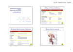 Lect 03 - Connective Tissue