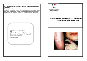 Hand foot and mouth leaflet