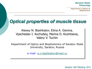 Optical properties of the human tissue