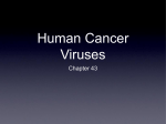 17 Cancer viruses