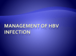 Management of HBV Infection