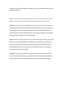 Expression of Nitric Oxide Synthase and Guanylate Cyclase in the