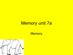 vocab_review_unit_7a_memory