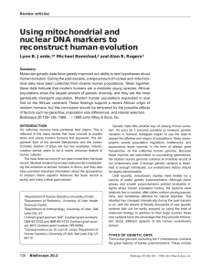 Using mitochondrial and nuclear DNA markers to