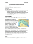 Tigris and Euphrates Civilization (Mesopotamia)