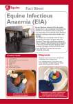 Equine infectious anaemia (Eia)
