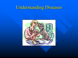 PowerPoint - Infectious Disease in the Animal