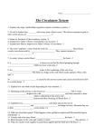 Circulatory System Handout