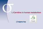 L-Carnitine in human metabolism