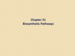 Chapter 21 Biosynthetic Pathways