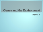 Genes and the environment File