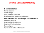 B cell tolerance