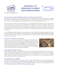 domestic cat predation on birds and other wildlife