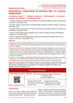 anatomical variations of sacrum and its clinical significance