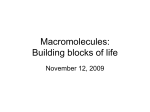 Macromolecules: Building blocks of life