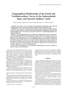 Topographical Relationship of the Facial and Vestibulocochlear