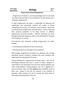 Programmed Cell Death(Apoptosis)