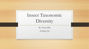 Insect Taxonomic Diversity