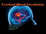 16-Lecture16- Cerebral Circulation-Med
