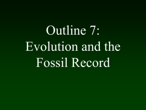 Evolution and the Fossil Record
