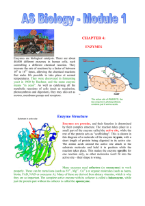 CHAPTER 4: Enzyme Structure