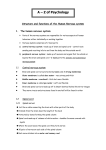 Structure and functions of the Human Nervous system