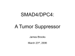 Role of Smad4 (DPC4) inactivation in human cancer.