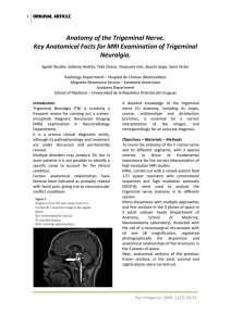 Anatomy or the trigeminal nerve. Key anatomical facts for MRI