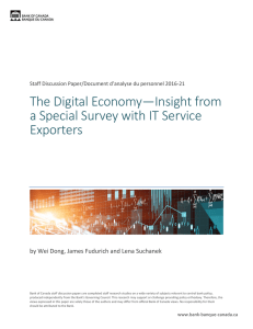 The Digital Economy—Insight from a Special