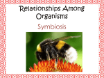 Relationships Among Organisms