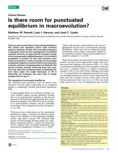 Is there room for punctuated equilibrium in macroevolution?