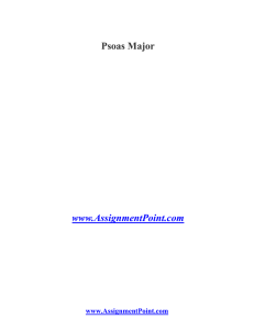 Psoas Major www.AssignmentPoint.com The psoas major, the