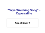 Skye Waulking Analysis