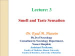 Smell and taste sensation - Lightweight OCW University of