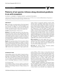 Patterns of ant species richness along elevational gradients in an