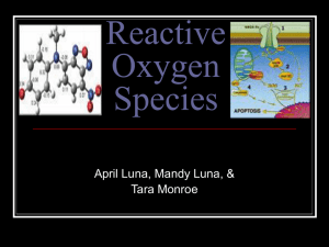 reactive_oxygen_species