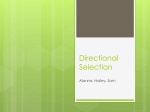 Directional Selection