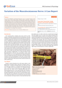 Variation of the Musculocutaneous Nerve: A Case Report