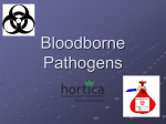 Bloodborne Pathogens