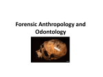 Anthropology_and_Odontology ppt