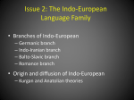 Issue 2: The Indo-European Language Family