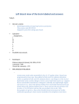 Left lateral view of the brain labeled and answers