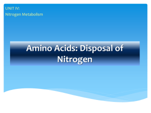 Ch19.1 Amino-acids-disposal-of