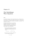 The Schrödinger Wave Equation