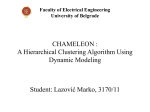 ChameleonAlgorithm_113170_Marko_Lazovic