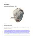Heart Lab Procedure and Practice Questions